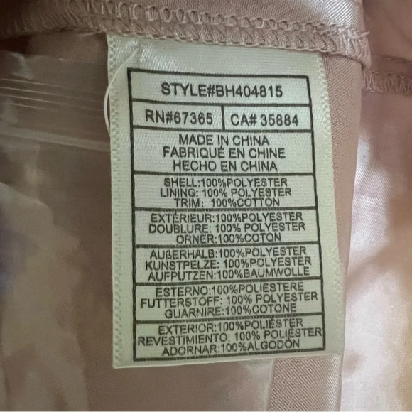 BB Dakota Roslyn Women’s S Victorian Blush Swiss Dot Crochet Ruffle Blouse - Picture 6 of 7